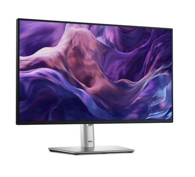 Monitor Dell P2425H 24" Full HD HDMI DisplayPort